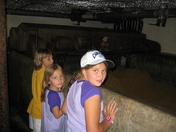 Germany 05