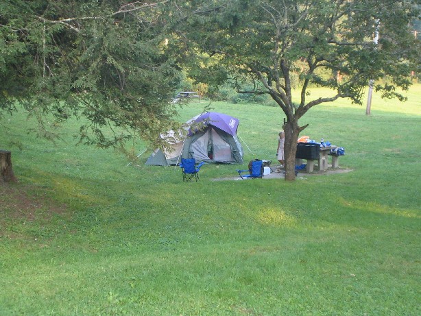 Picture 1